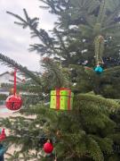 PHOTO-2025-12-03-22-13-48-3