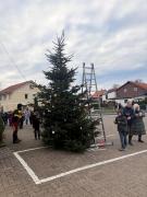 PHOTO-2025-12-03-22-13-48-6